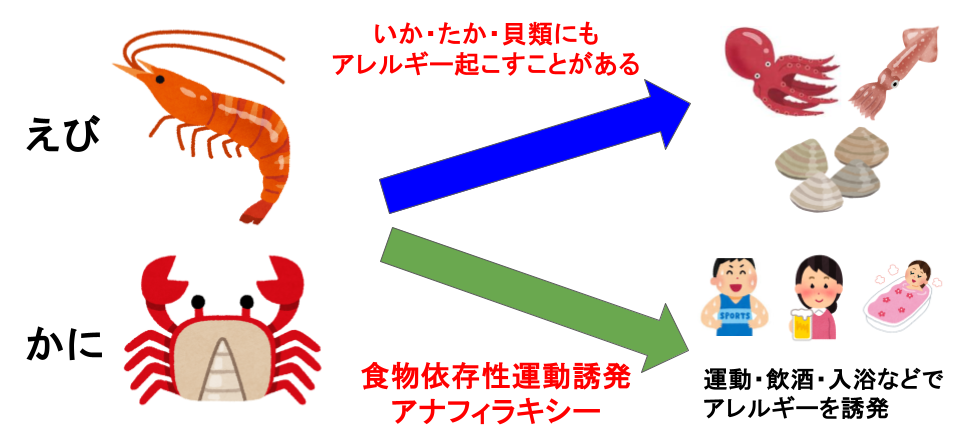 甲殻類アレルギー(エビ・カニ)