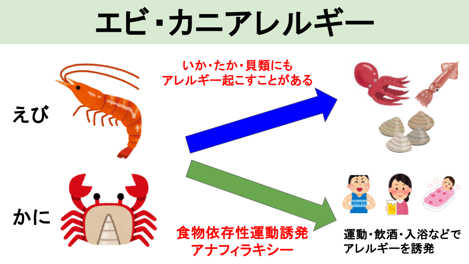 甲殻類アレルギー（エビ・カニ）