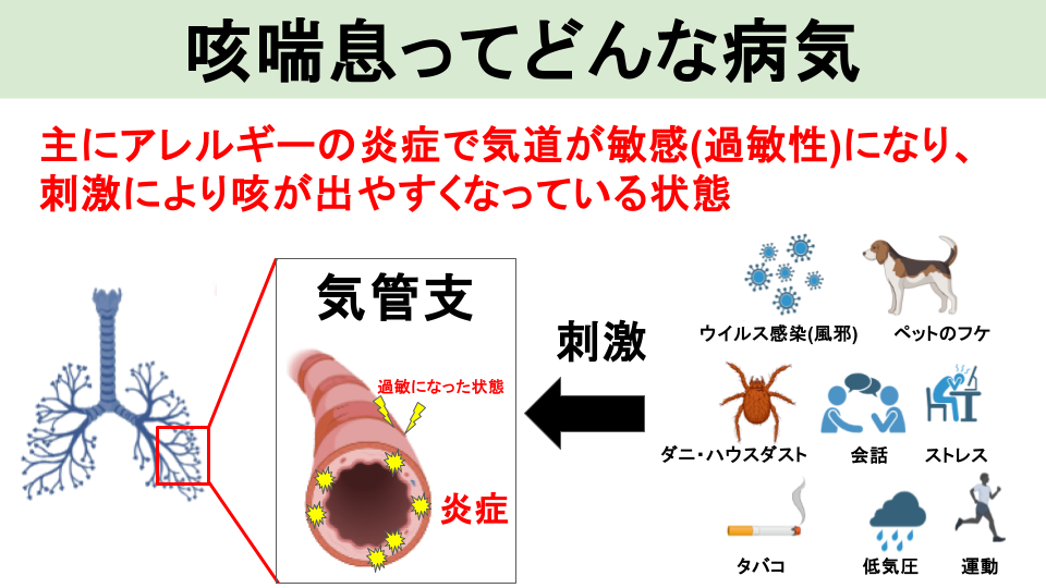 咳喘息ってどんな病気？原因とメカニズム
