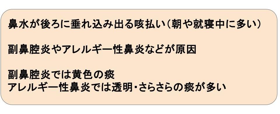 副鼻腔炎やアレルギー性鼻炎（後鼻漏）