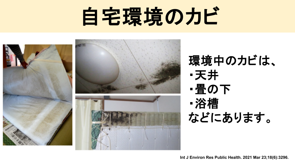 自宅のカビ