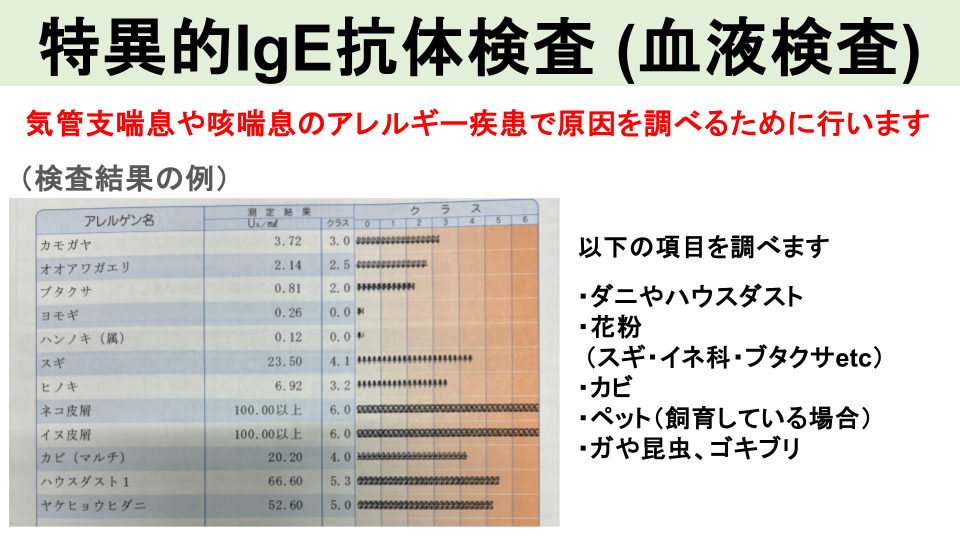アレルギー血液検査（特異的IgE抗体）
