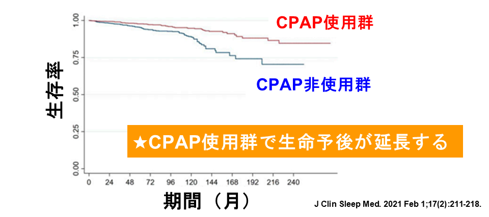 効果①：寿命が伸びます！