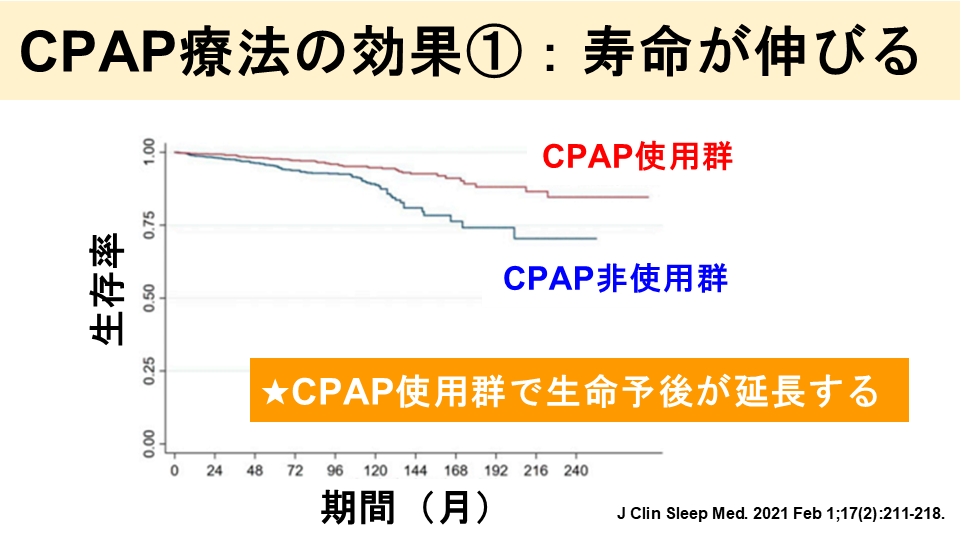 効果①：寿命が伸びます！