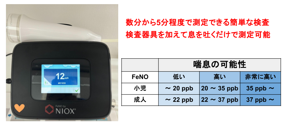 呼気NO値(FeNO)