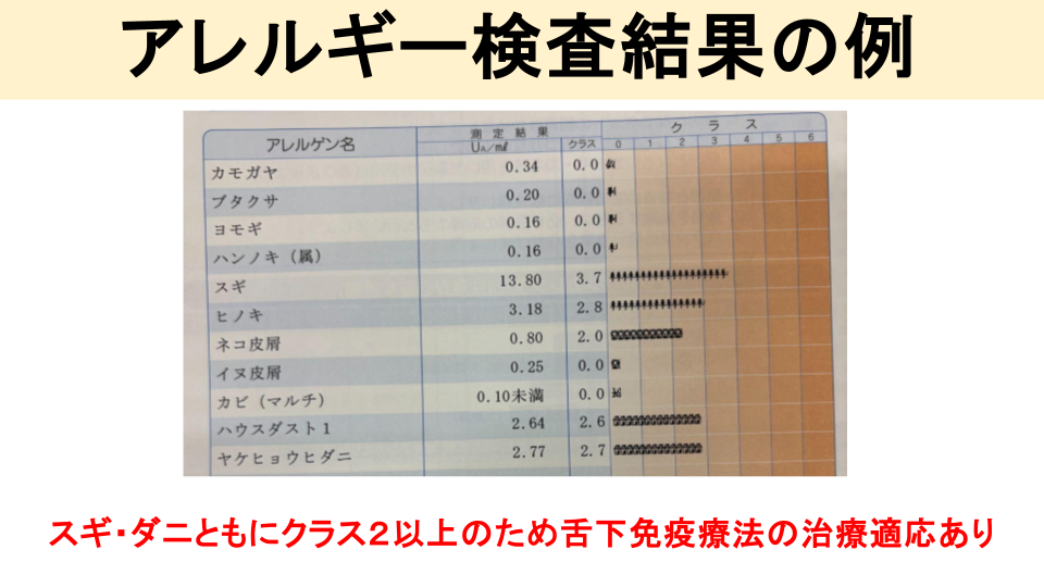 投与の流れと適応・注意点