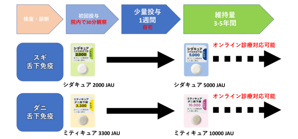 投与の流れと適応・注意点