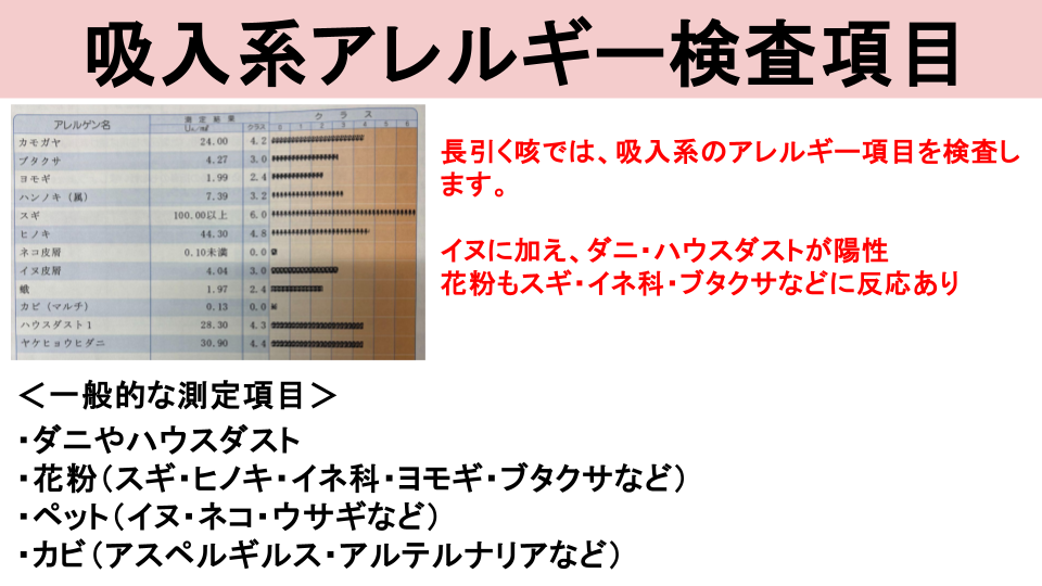 アレルギー検査（血液検査）