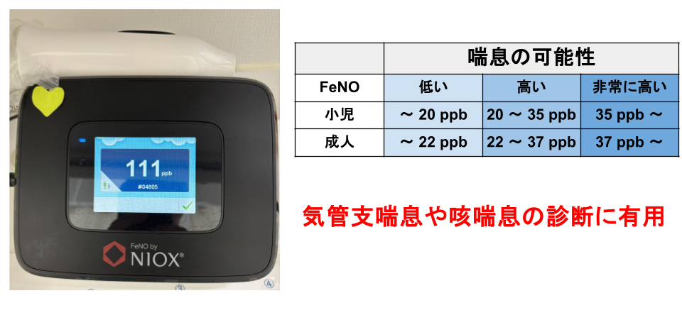 呼気一酸化窒素濃度（FeNO）測定
